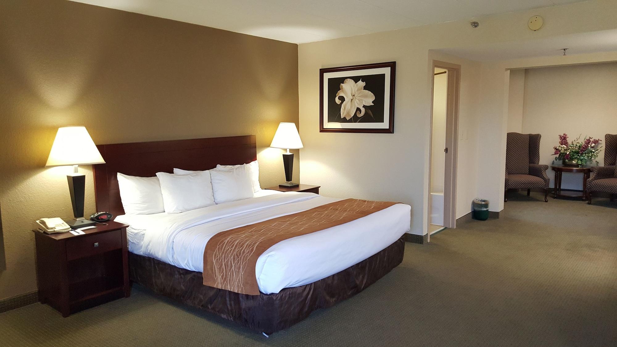 Comfort Inn Northeast Mason Exteriér fotografie