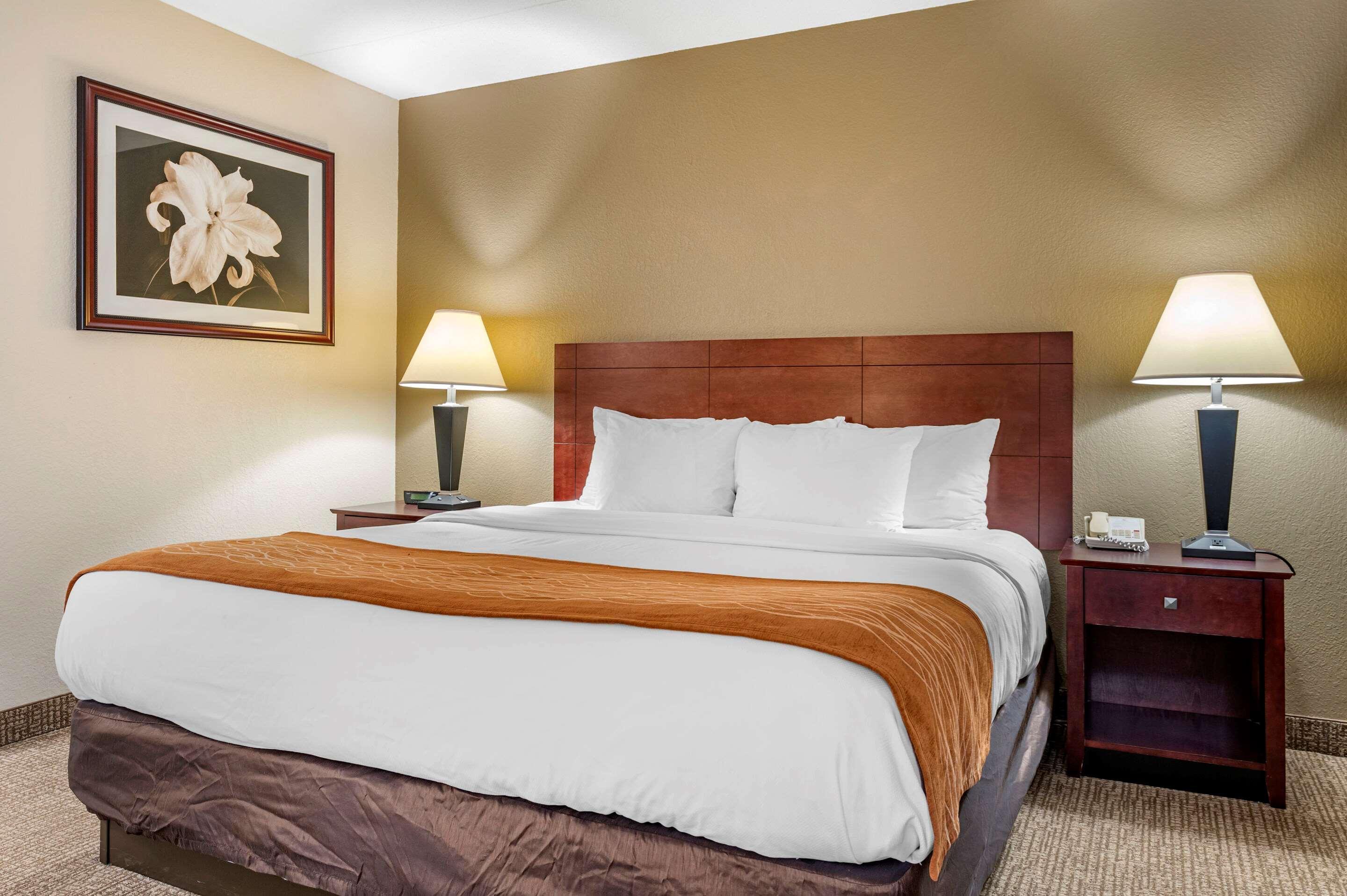 Comfort Inn Northeast Mason Exteriér fotografie